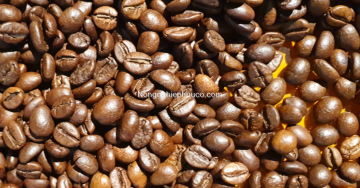 ROBUSTA- CULI BEAN COFFEE